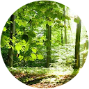 Ramesh Sanas profile picture